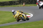 FAST GREEN/YELLOW BIKES